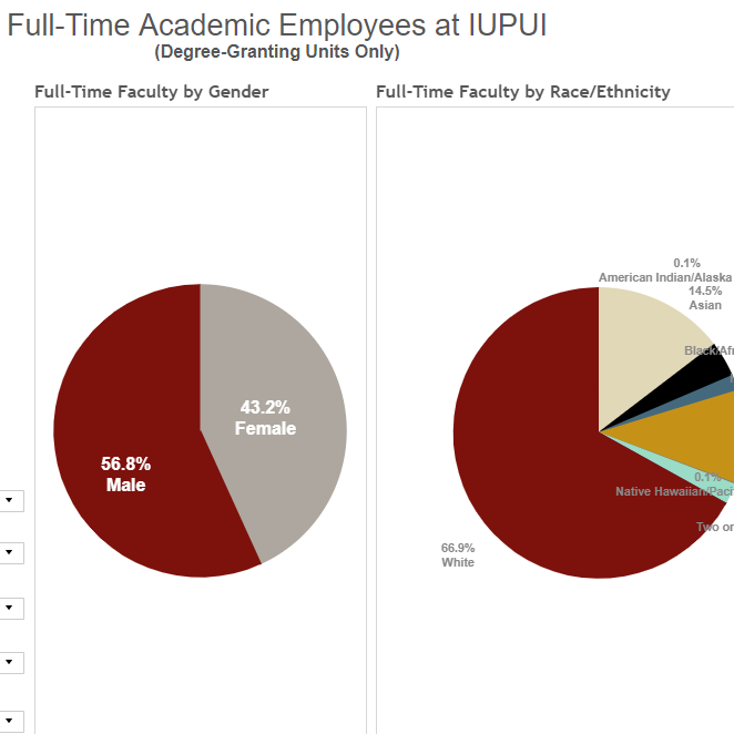 Full-Time Academic Employees at IUPUI